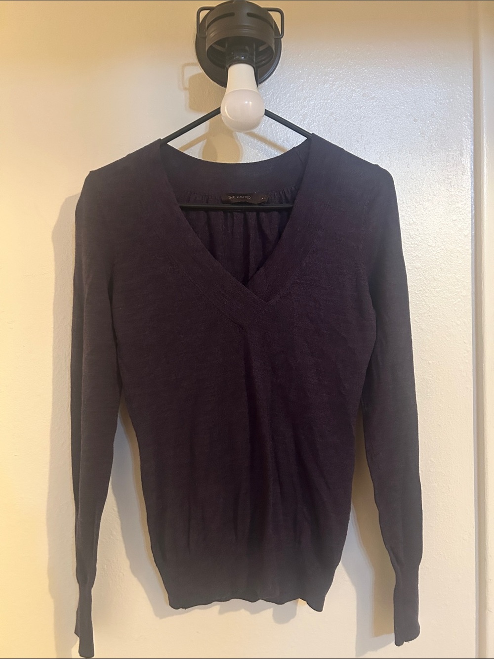 The Limited V-Neck Sweater in Deep Purple